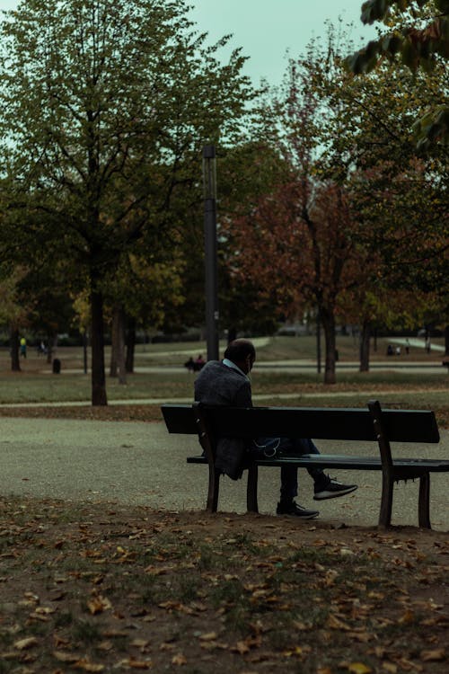 Man Sitting on Wooden Bench in Park