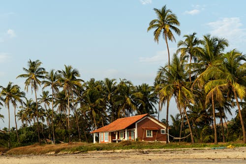 House on the Beach Between Palm Trees