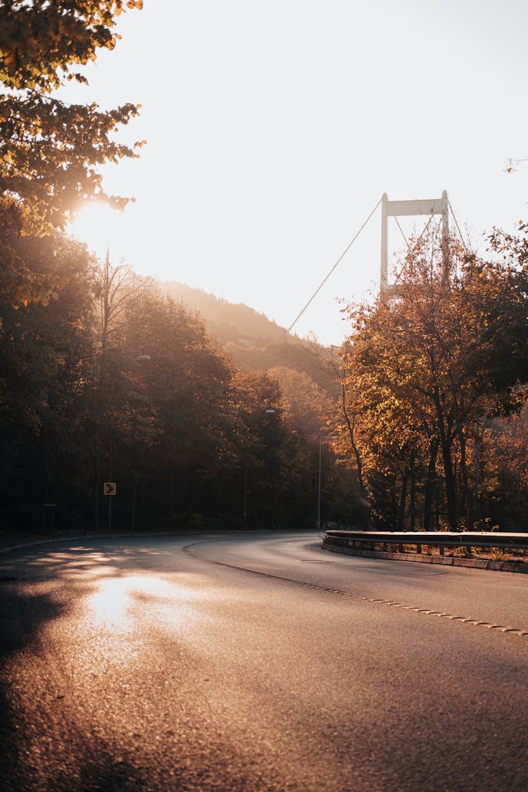 Asphalt Road And The Bosphorus Bridge Behind The Trees