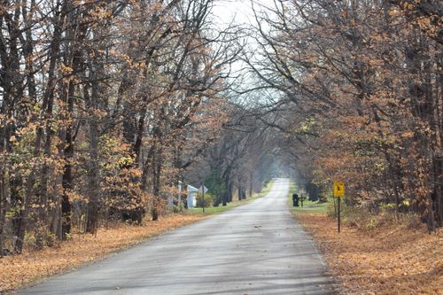 Free Autumn Road Stock Photo