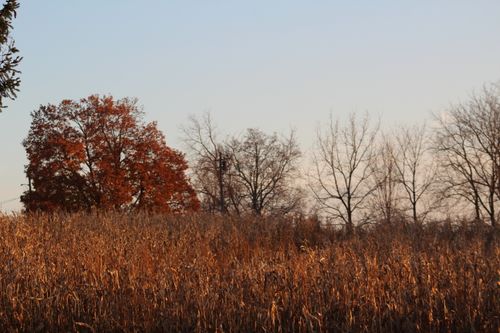 Free Autumn Country Stock Photo