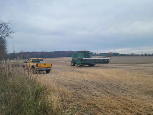 Free Bringing in the harvest Stock Photo