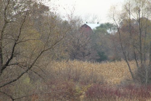 Free Autumn Scene Stock Photo