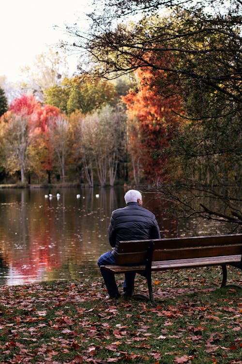 A Man in Black Jacket Sitting on a Wooden Bench Near the Body of Water