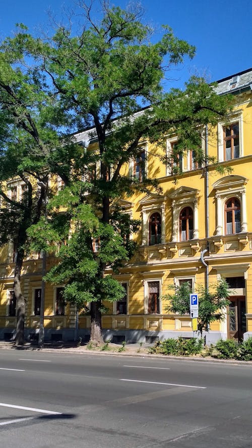 A Yellow Building Near the Green Tree on the Street