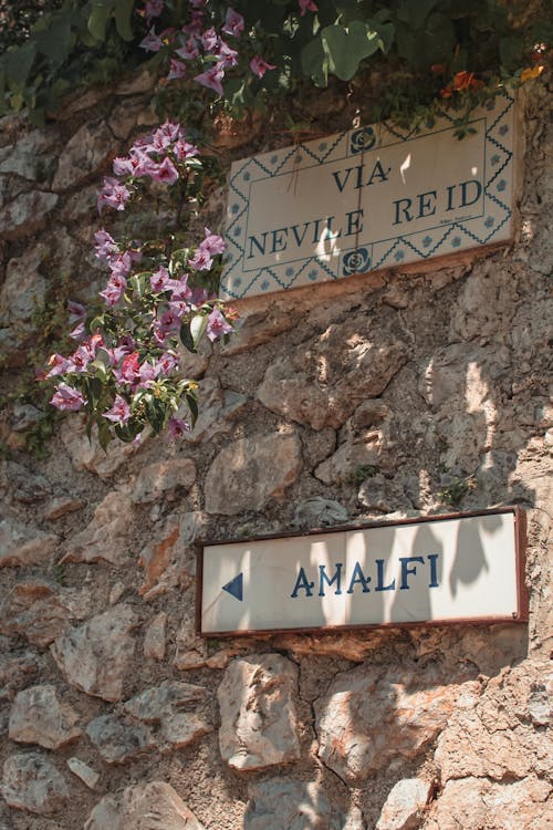 Δωρεάν στοκ φωτογραφιών με amalfi, γκρο πλαν, Ιταλία