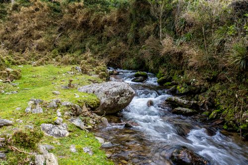 Free A serene creek flowing through lush mossy rocks and vibrant greenery in a natural setting. Stock Photo