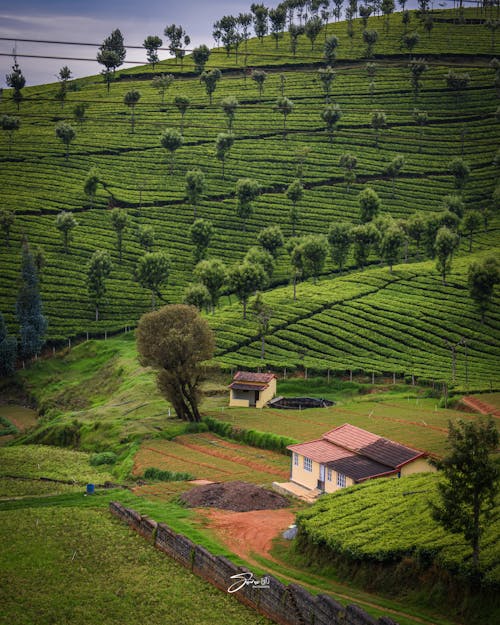 Foto profissional grátis de área, árvores, casa na fazenda