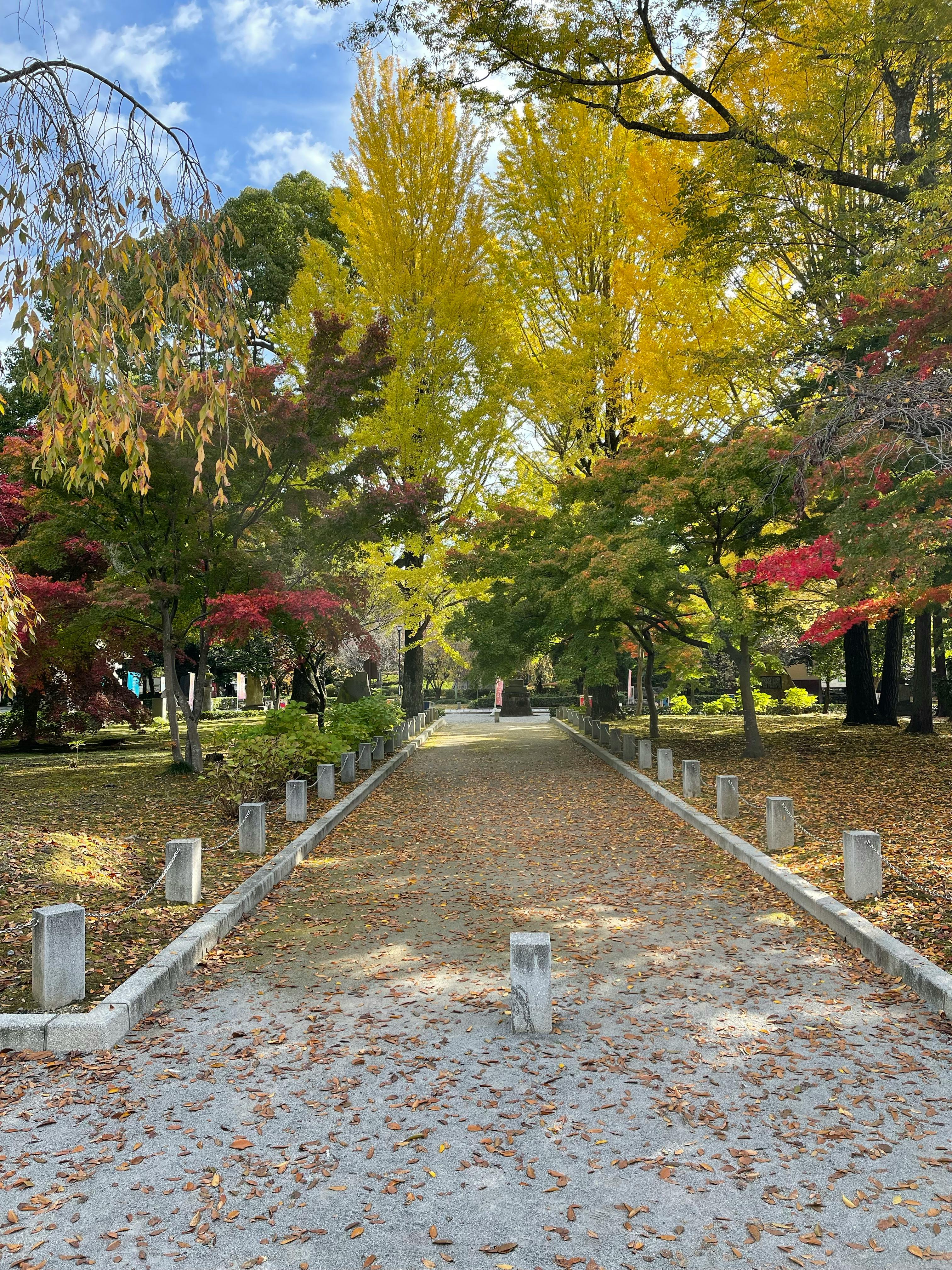 High-protein Greek yogurt breakfast bowl topped with fresh berries and granola