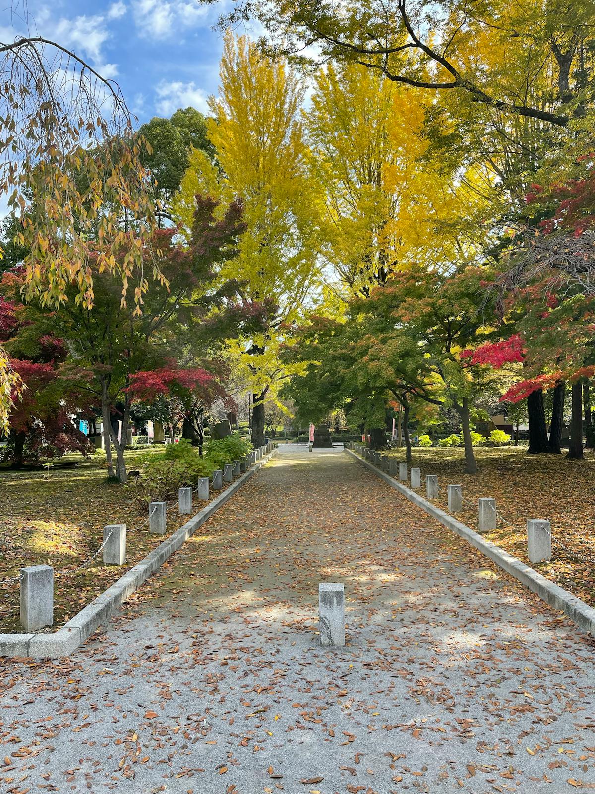 High-protein snack plate with cottage cheese, eggs, vegetables and crackers on a table