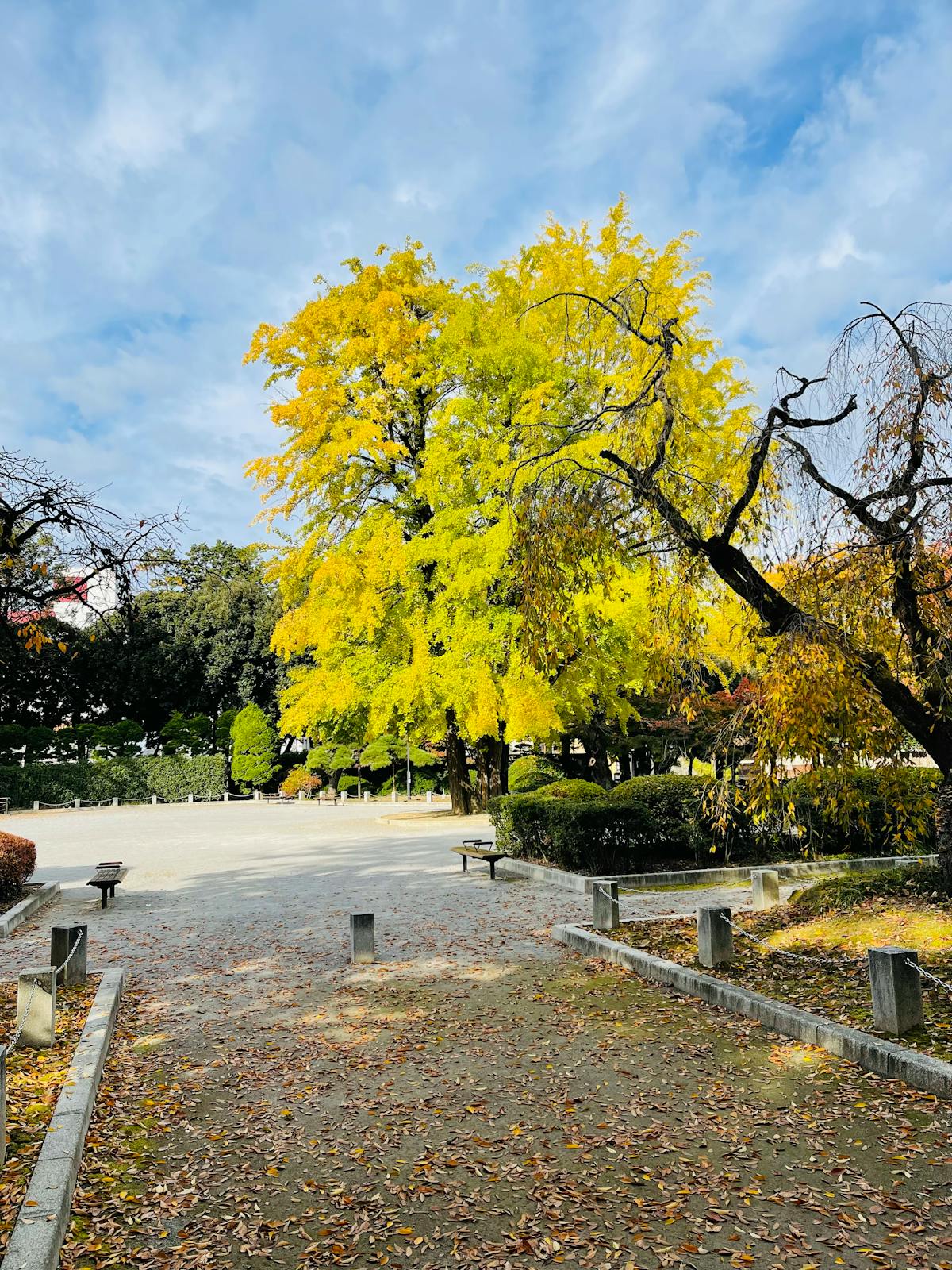 High-protein bowl with grains, vegetables, and lean protein arranged colorfully