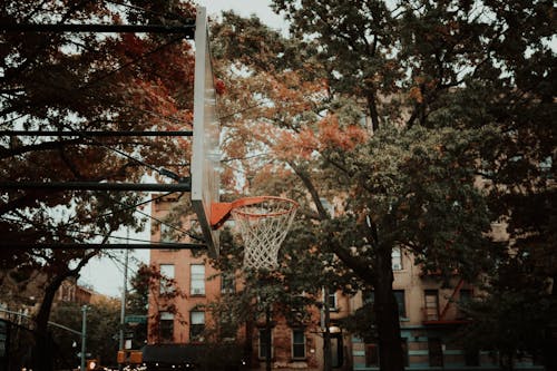 Basketball Hoop Under Green Trees Near the Apartment Building