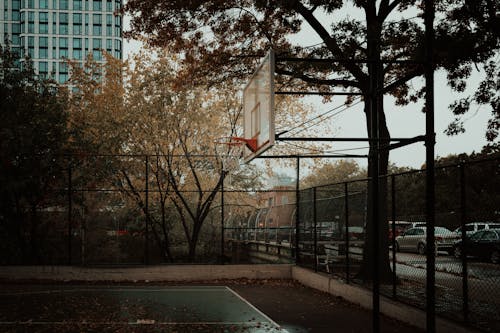 ağaçlar, Basketbol, basketbol potası içeren Ücretsiz stok fotoğraf