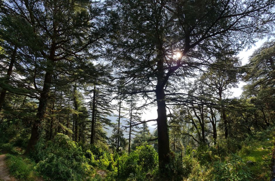 Manali Wildlife Sanctuary