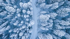 Aerial Photography of Snow Covered Trees