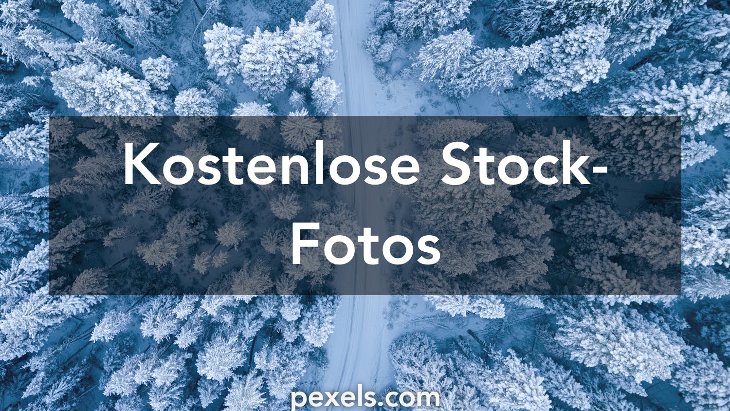 Winterbilder Pexels Kostenlose Stock Fotos