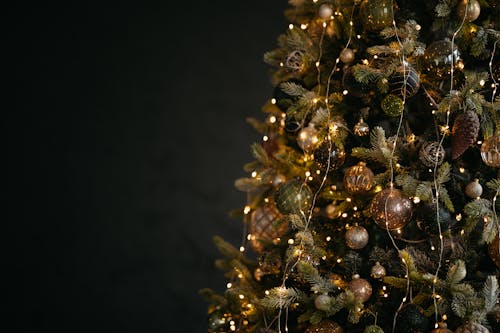 คลังภาพถ่ายฟรี ของ ต้นคริสต์มาส, ลูกบอลคริสต์มาส, ส่องสว่าง