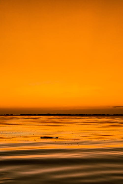 Immagine gratuita di acqua, alba, arancia