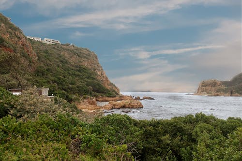 Trees and Mountain Beside Beach