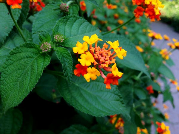 Cara Negosiasi Harga Sewa Apartemen yang Efektif