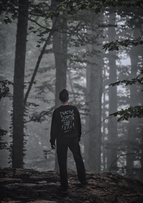 Free A Man Standing in the Middle of a Forest Stock Photo