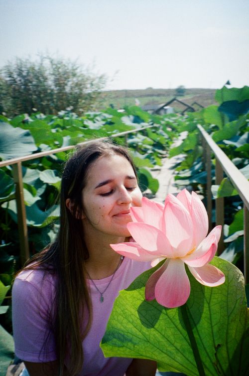 Free A young woman enjoys the scent of a blooming pink lotus in a lush green field. Stock Photo