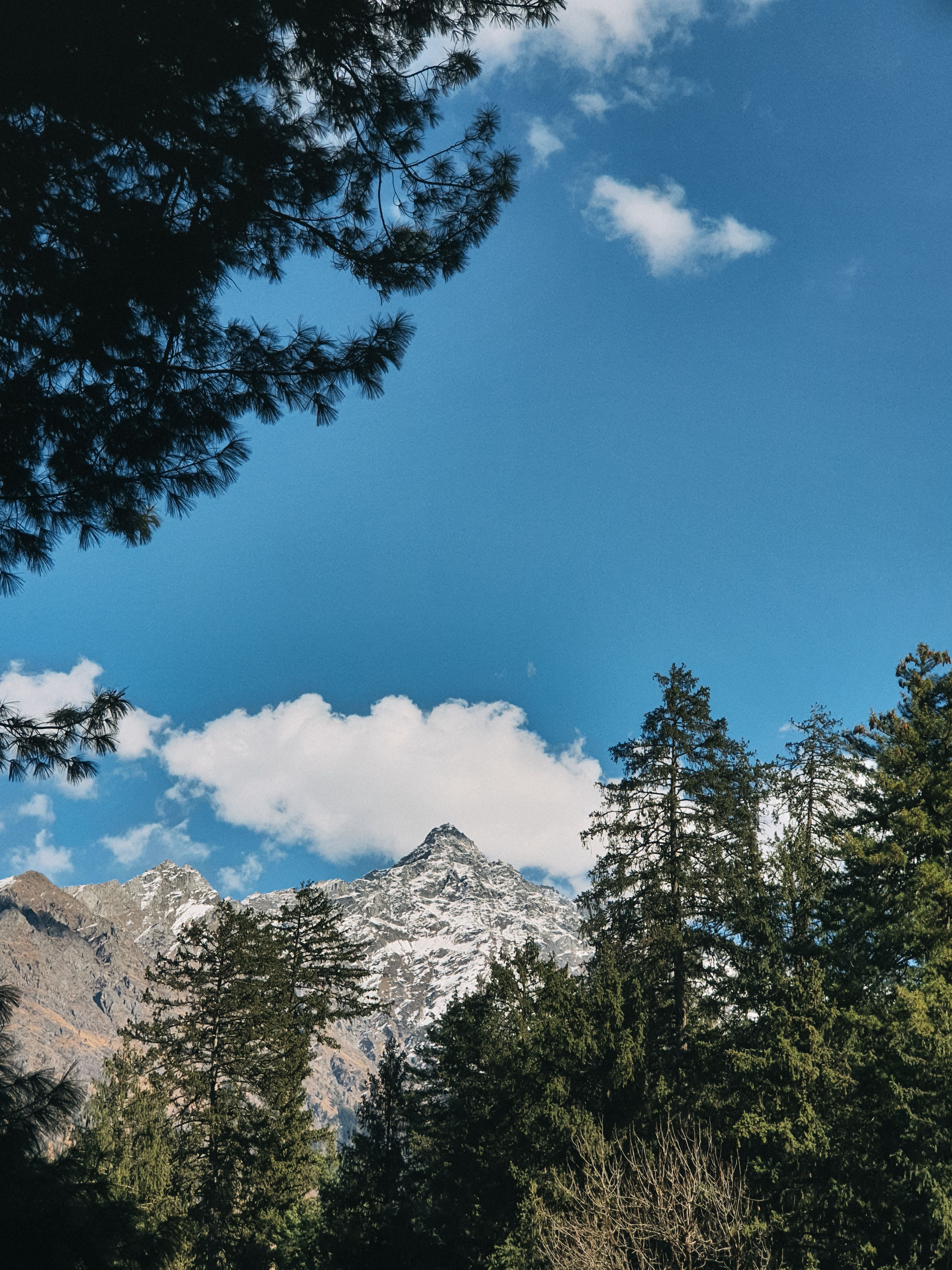 A Green Trees Near the Snow Covered Mountain Under the Blue Sky and ...