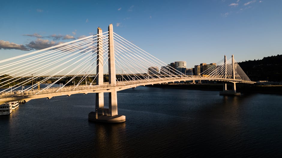Web photo of a bridge in a large city.