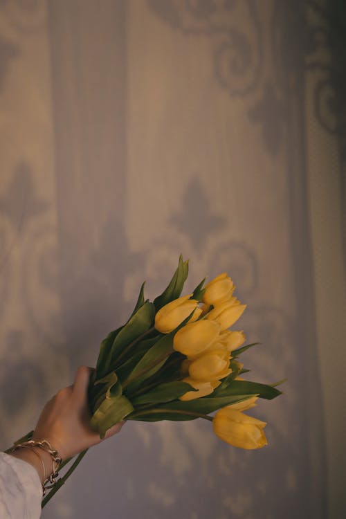 Foto d'estoc gratuïta de flors grogues, pètals, primer pla