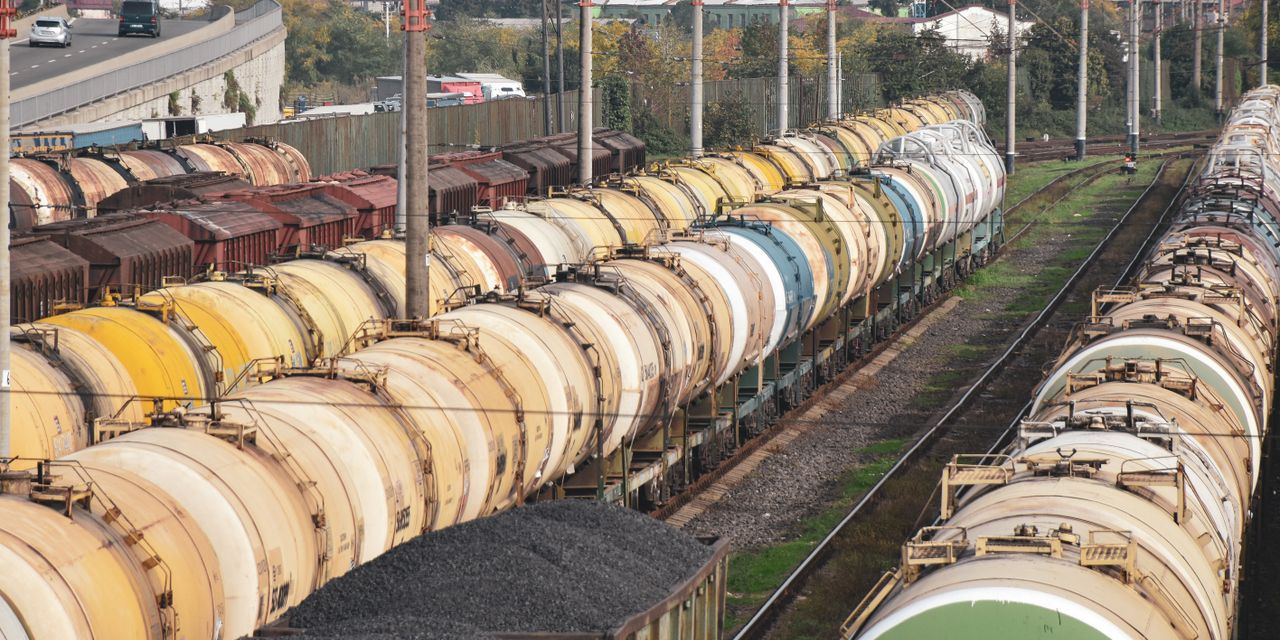 Rows of colorful freight trains carrying cargo in an outdoor railway station.