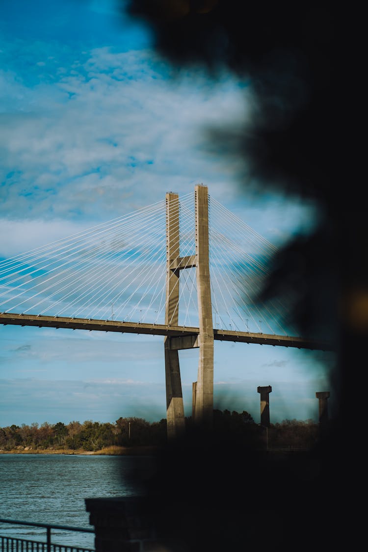 Bridge On River