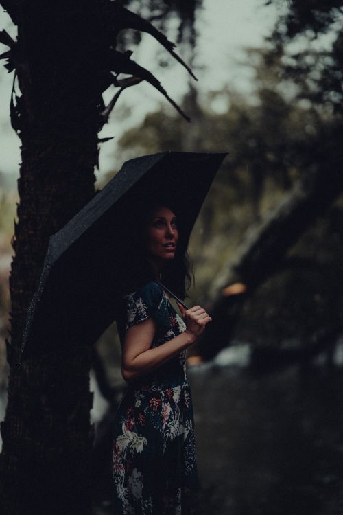 Free A woman holding an umbrella stands in a rain-soaked forest, creating a moody and atmospheric scene. Stock Photo