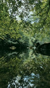 Image by Denis Sllovinja