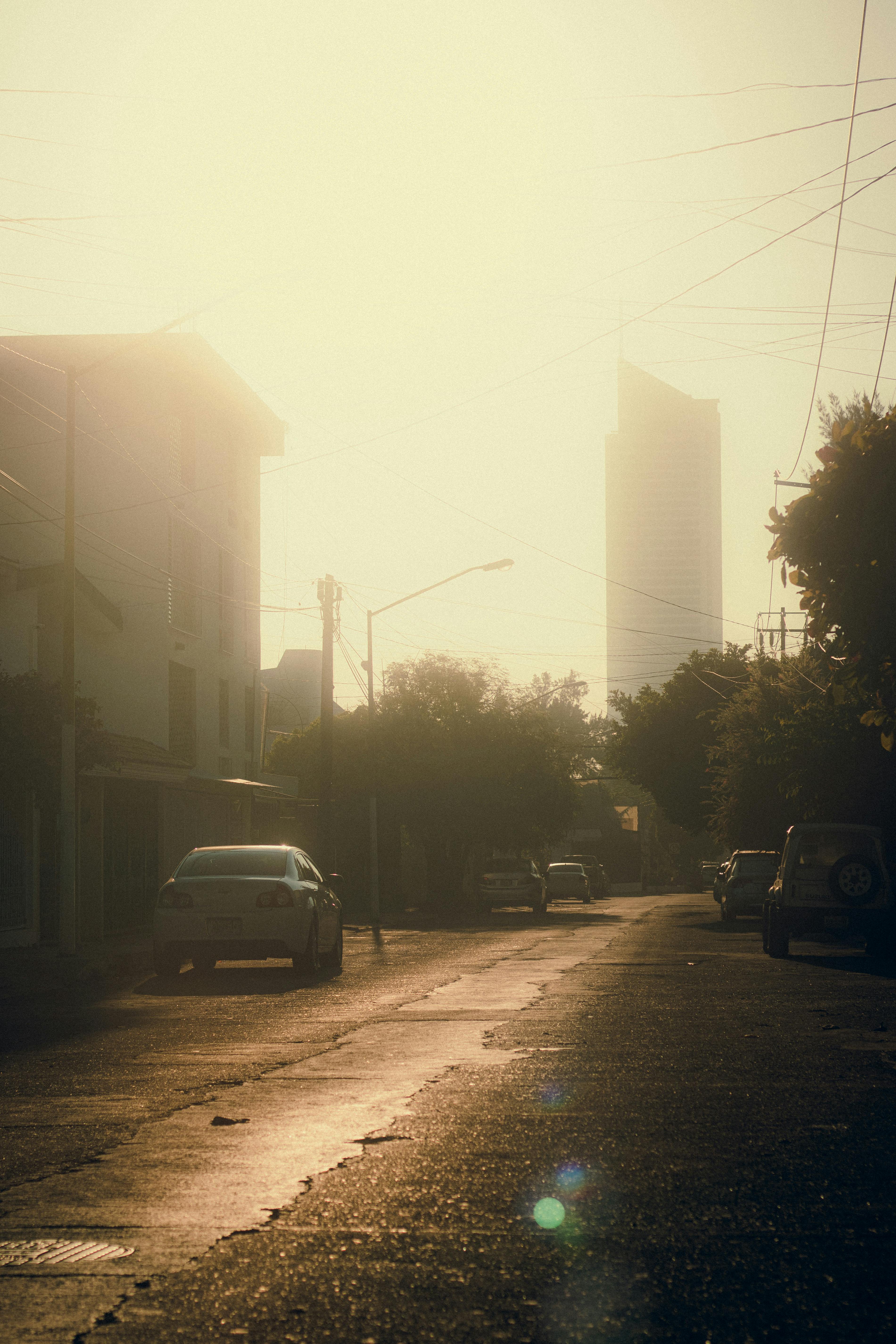 A misty urban street in Guadalajara with a skyscraper and cars at sunrise.