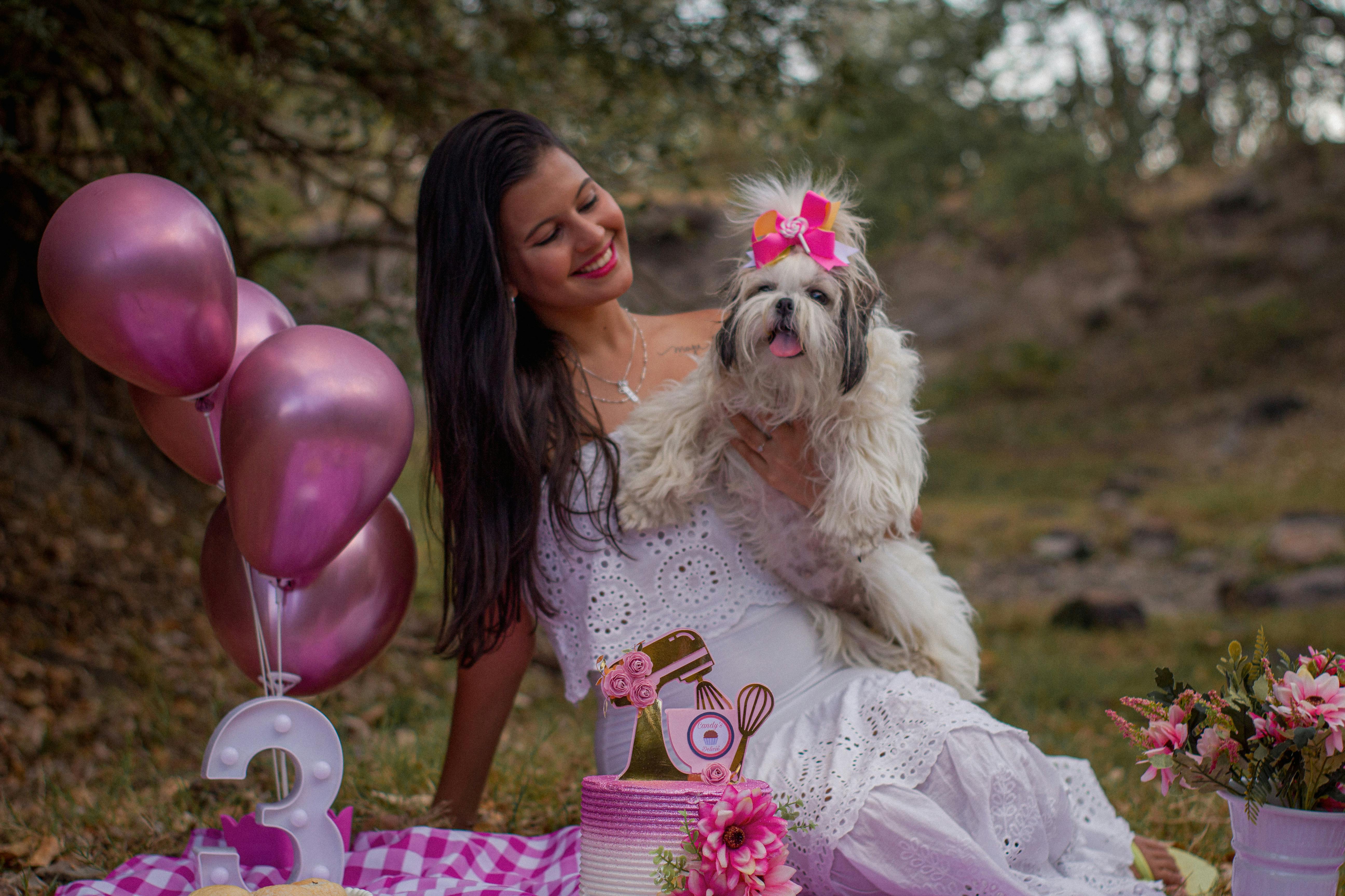 Which dog is genius?