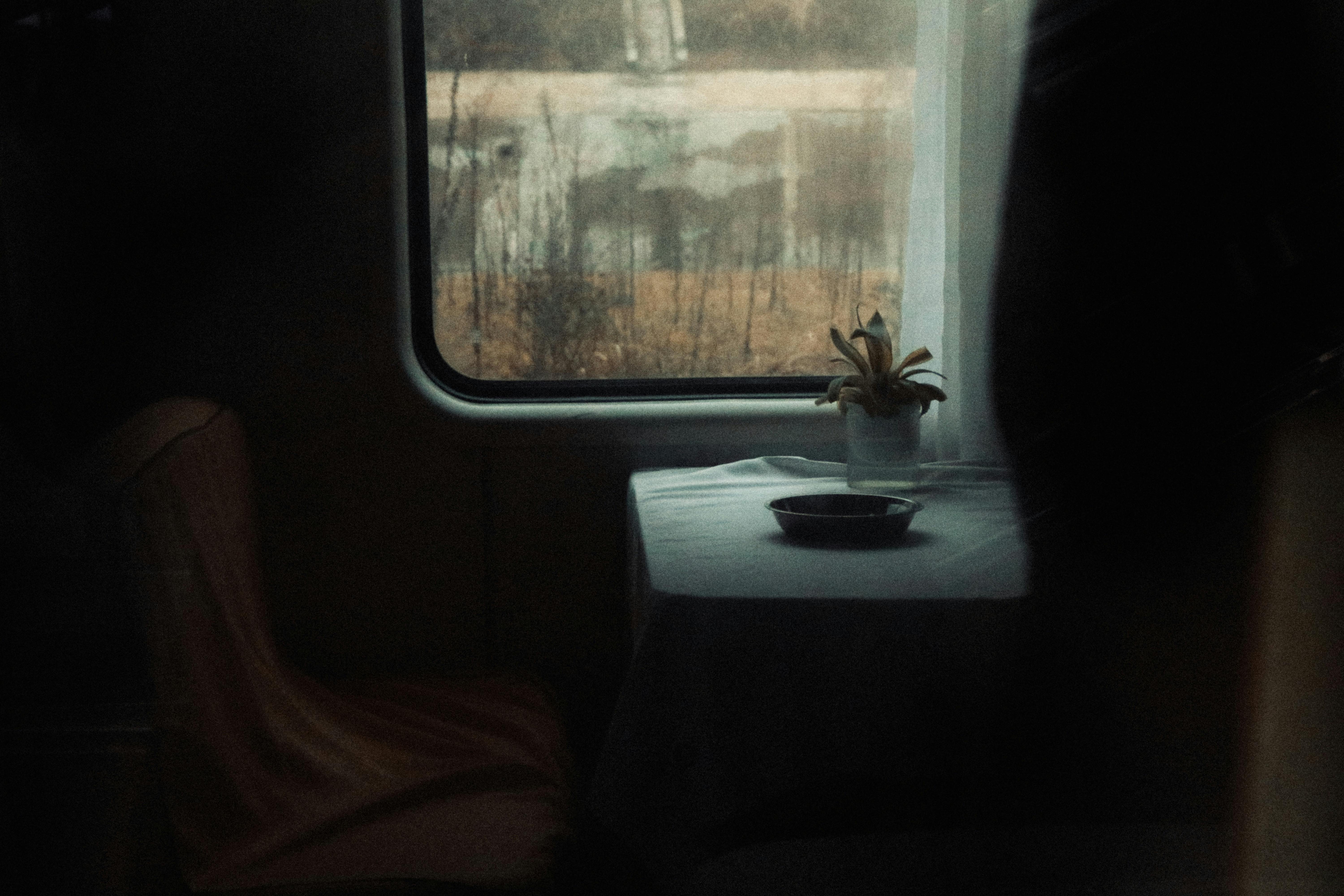 無料 35mm, アナログ写真, シートの無料の写真素材 写真素材