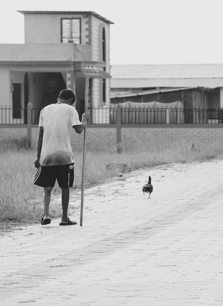 Black And White Photo Of A Man With A Walking Stick And A Chicken On A Dust Road