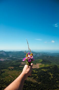 A hand holds colorful flowers with a panoramic mountain view under a clear blue sky.