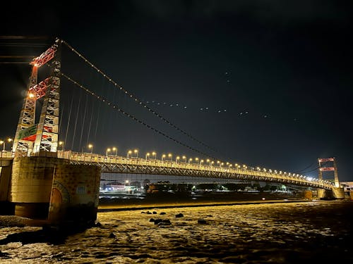 Bridge Illuminated at Night