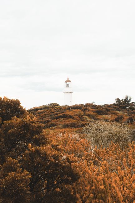 A lighthouse stands tall amidst the lush, autumn-colored foliage in Clarkefield, VIC, Australia.