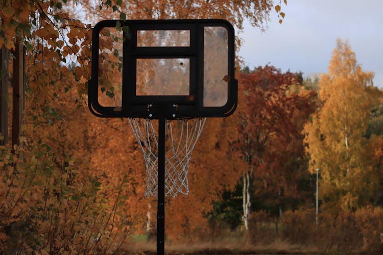 A Basketball Hoop In A Park 