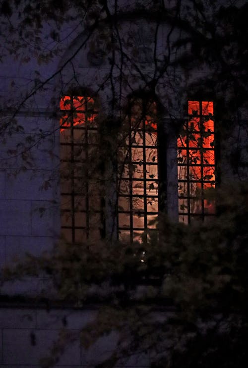 Large Vines Covered Window into Lit up Home