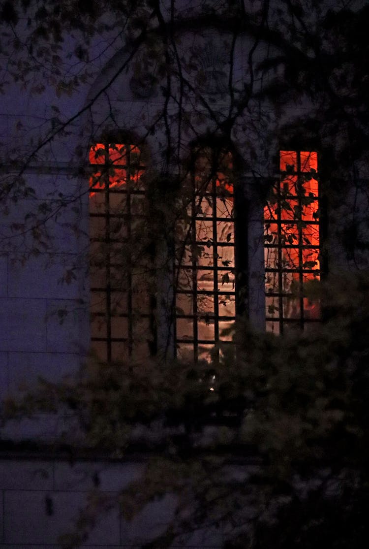 Large Vines Covered Window Into Lit Up Home