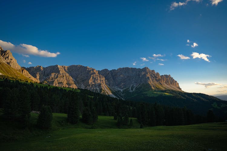 Green Valley In Mountains Landscape