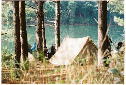 Gratis arkivbilde med beskyttelse, camping, campingplass