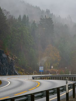 A foggy road winding through the forested mountains of Stryn, Vestland, Norway.