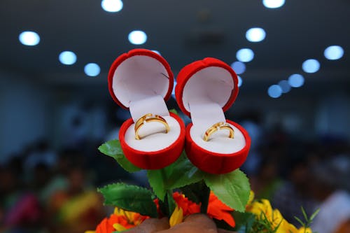 Foto d'estoc gratuïta de aliances, anells d'or, boda