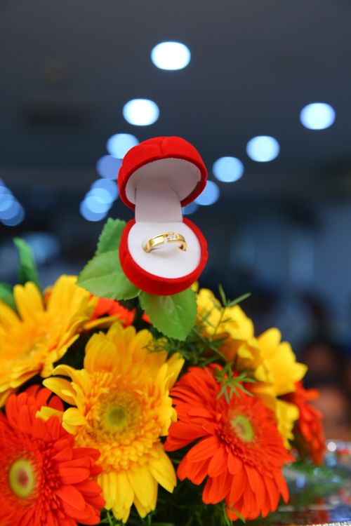 Free A stunning gold ring in a red velvet box surrounded by bright flowers. Perfect for engagements or proposals. Stock Photo