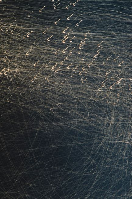 Dynamic abstract image capturing swirling light trails with a dark background.