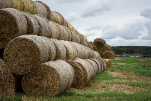 Free A serene rural scene of stacked hay bales in a lush green countryside field. Stock Photo